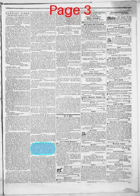 Page thumbnail for Danbury Times