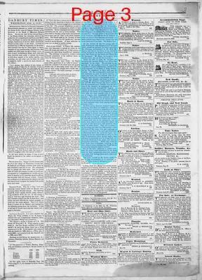 Page thumbnail for Danbury Times