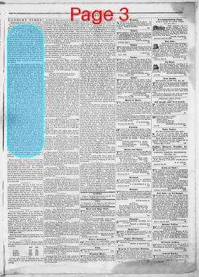 Page thumbnail for Danbury Times