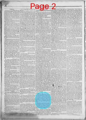 Page thumbnail for Danbury Times