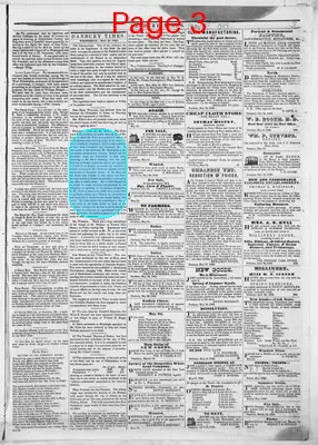 Page thumbnail for Danbury Times