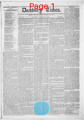 Page thumbnail for Danbury Times