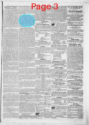 Page thumbnail for Danbury Times