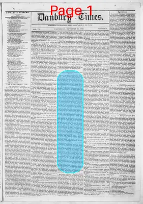 Page thumbnail for Danbury Times