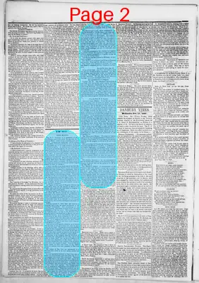Page thumbnail for Danbury Times
