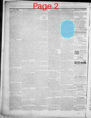 Page thumbnail for Danbury Times