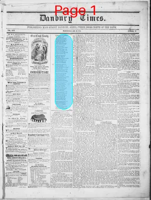 Page thumbnail for Danbury Times