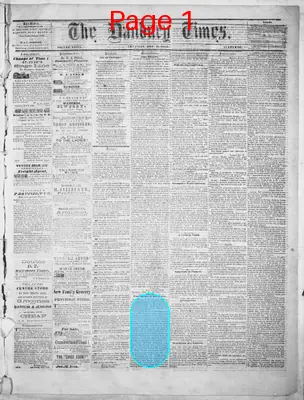Page thumbnail for Danbury Times