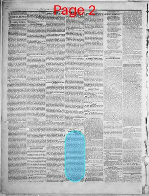 Page thumbnail for Danbury Times