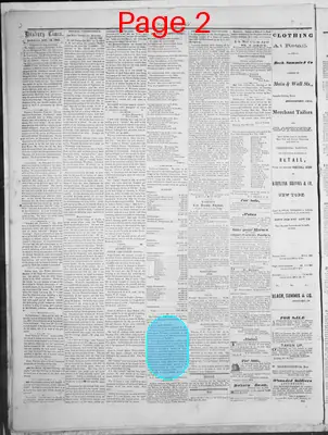 Page thumbnail for Danbury Times