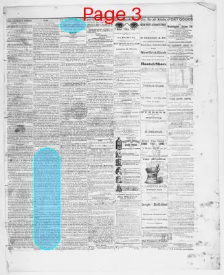 Page thumbnail for Danbury Times