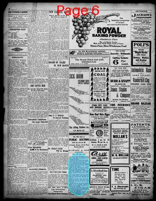 Page thumbnail for The Bridgeport Evening Farmer