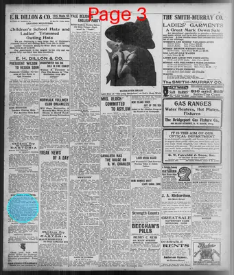 Page thumbnail for The Bridgeport Evening Farmer