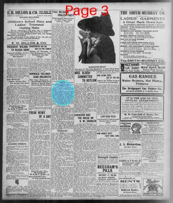 Page thumbnail for The Bridgeport Evening Farmer