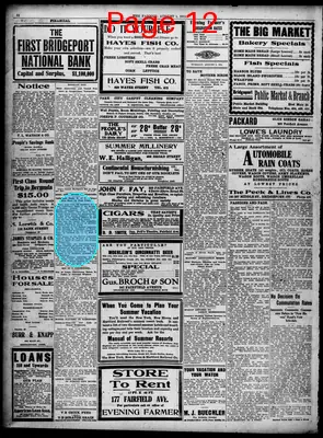 Page thumbnail for The Bridgeport Evening Farmer