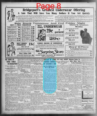 Page thumbnail for The Bridgeport Evening Farmer