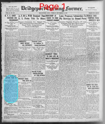 Page thumbnail for The Bridgeport Evening Farmer