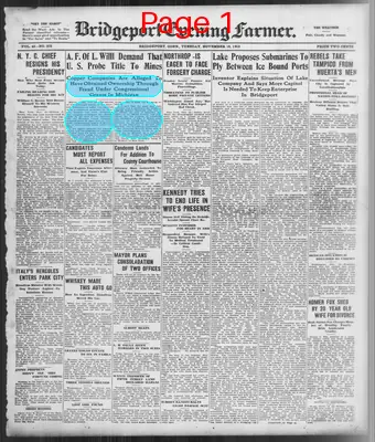 Page thumbnail for The Bridgeport Evening Farmer