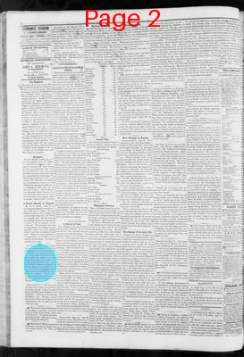 Page thumbnail for Orleans Independent Standard