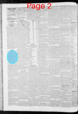 Page thumbnail for Orleans Independent Standard