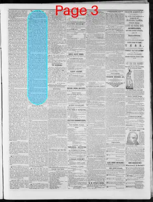 Page thumbnail for Orleans Independent Standard