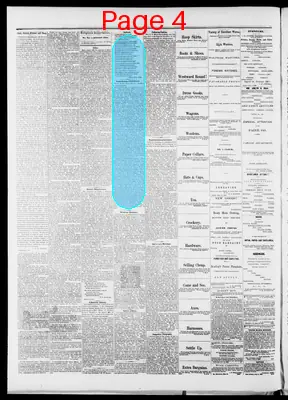 Page thumbnail for Orleans Independent Standard