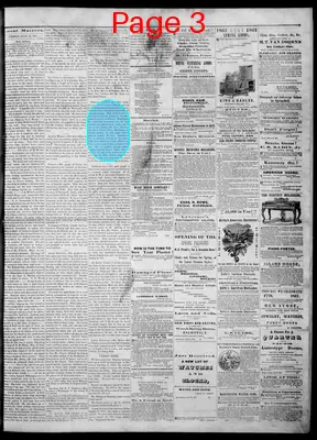 Page thumbnail for Bellows Falls Times