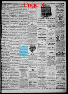 Page thumbnail for Bellows Falls Times