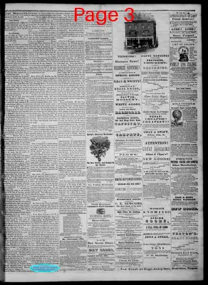 Page thumbnail for Bellows Falls Times