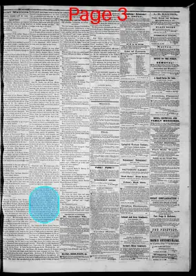 Page thumbnail for Bellows Falls Times
