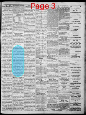 Page thumbnail for Bellows Falls Times