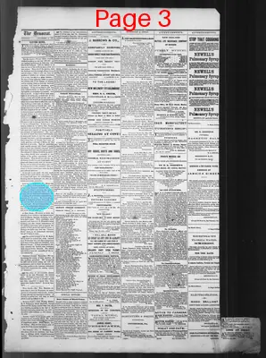 Page thumbnail for The State Rights Democrat