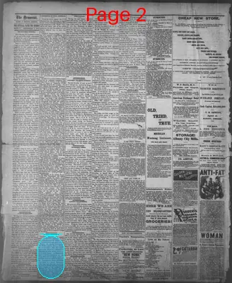 Page thumbnail for The State Rights Democrat