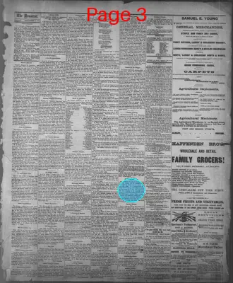 Page thumbnail for The State Rights Democrat