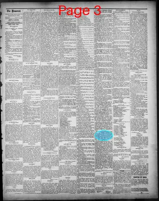 Page thumbnail for The State Rights Democrat