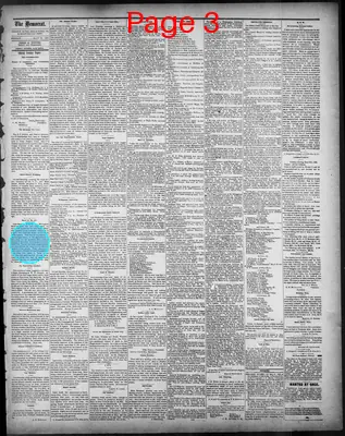 Page thumbnail for The State Rights Democrat