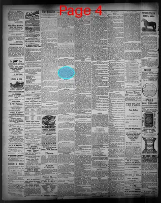 Page thumbnail for The State Rights Democrat