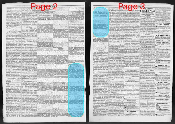 Page thumbnail for The Voice Of Freedom