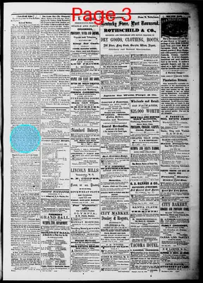 Page thumbnail for Washington Standard
