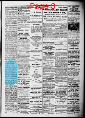 Page thumbnail for Washington Standard