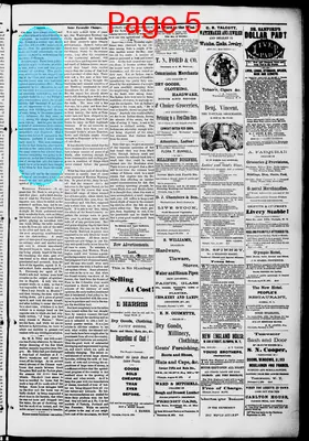 Page thumbnail for Washington Standard