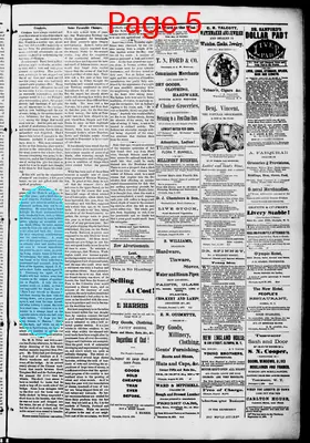 Page thumbnail for Washington Standard