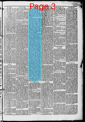 Page thumbnail for Washington Standard