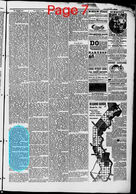 Page thumbnail for Washington Standard