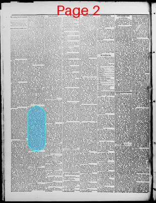 Page thumbnail for Washington Standard