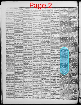 Page thumbnail for Washington Standard