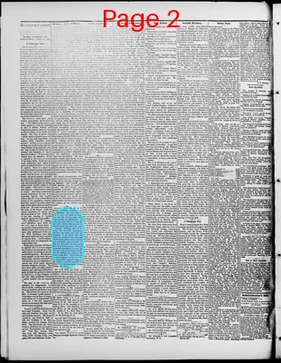 Page thumbnail for Washington Standard