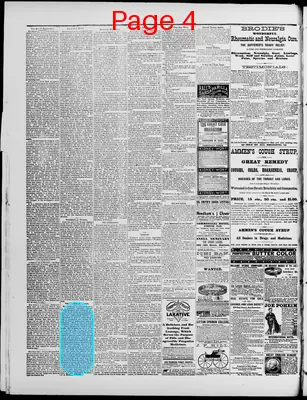 Page thumbnail for Washington Standard