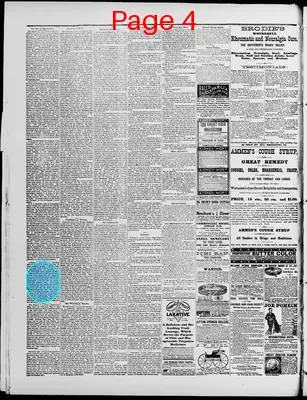 Page thumbnail for Washington Standard