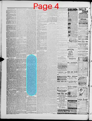 Page thumbnail for Washington Standard